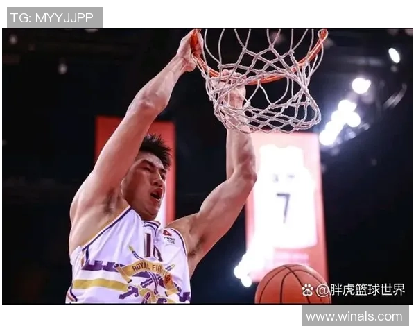 邹雨宸：从篮球新星到职业生涯巅峰的成长之路与未来展望